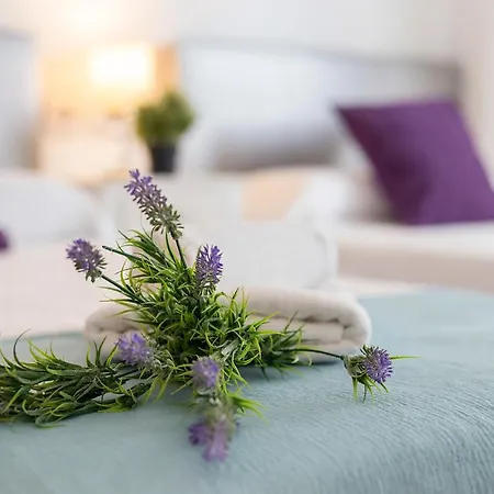 Atico Terrazas Piscina Parking 3 2 Banos Lägenhet