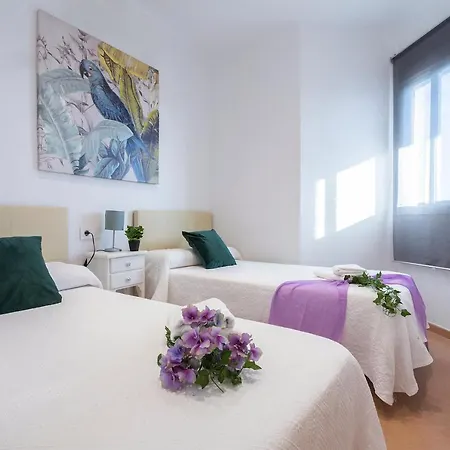 Atico Terrazas Piscina Parking 3 2 Banos Jerez de la Frontera