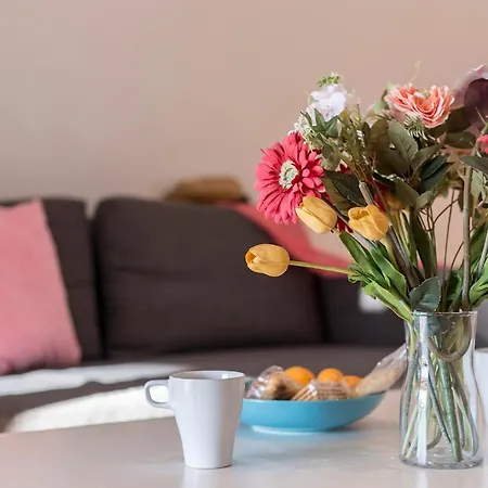 Atico Terrazas Piscina Parking 3 2 Banos Appartement Jerez de la Frontera