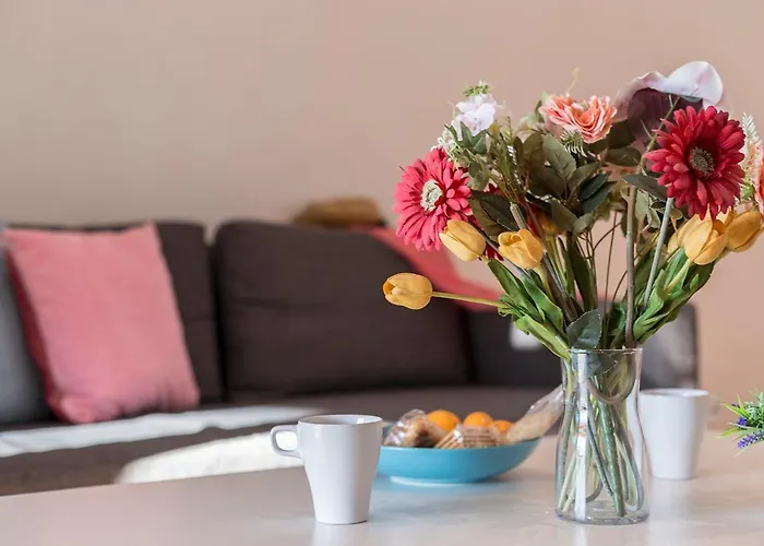 Atico Terrazas Piscina Parking 3 2 Banos Apartamento Jerez de la Frontera